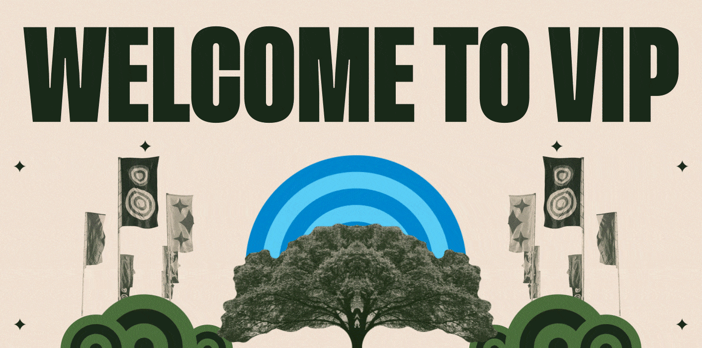 Welcome to VIP